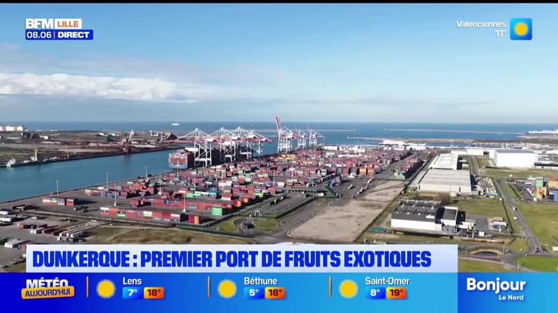 À Dunkerque, des milliers de bananes transitent sur le port
