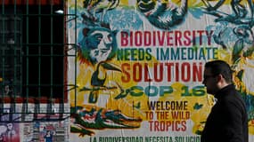 Un homme marche à côté d'un poster de la COP 16 à Cali, en Colombie le 3 octobre 2024