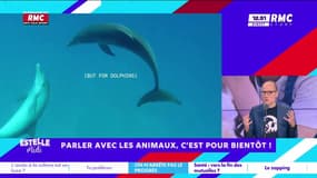 On n'arrête pas le progrès : Parler avec les animaux, c'est pour bientôt ! - 22/04