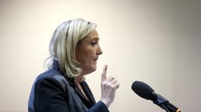 Marine Le Pen lors d'un meeting à Bordeaux le 1er février 2014.