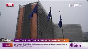 Mercosur: les agriculteurs en détresse face à l'incertitude politique et aux négociations