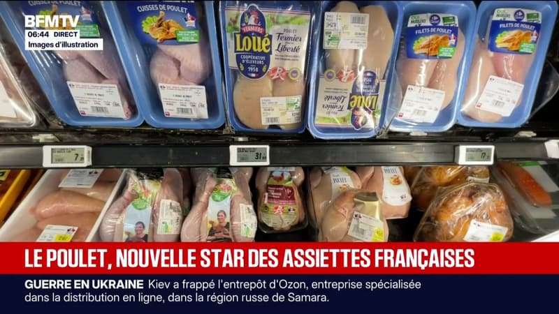 Consommation: les ventes de poulet s'envolent en France, les éleveurs français peinent à suivre la demande