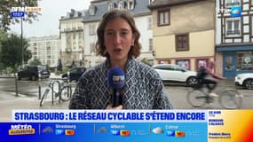 Strasbourg: avenue de Colmar, le Ring... les détails sur les nouvelles pistes cyclables