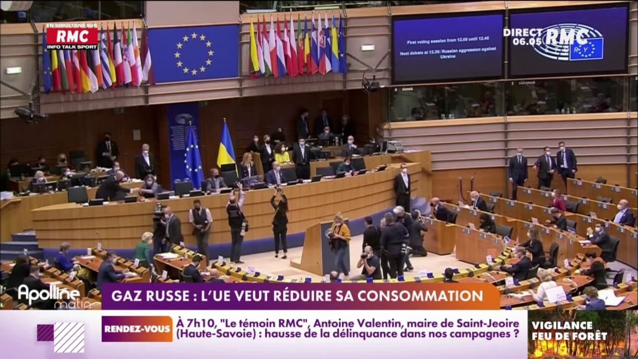Gaz russe l'UE veut réduire sa consommation
