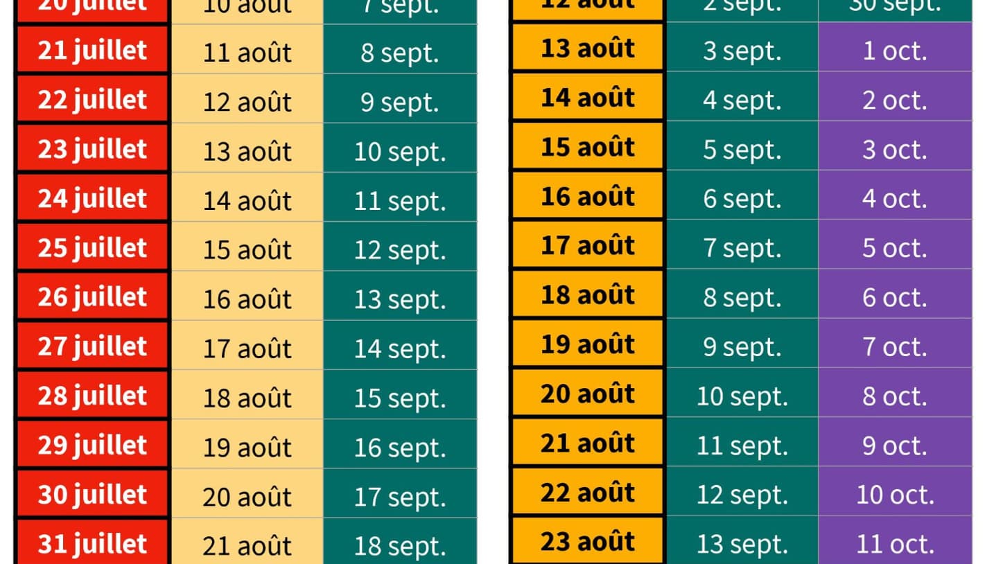 Infographie 17 juillet - 31 août Infographie 17 juillet - 31 août