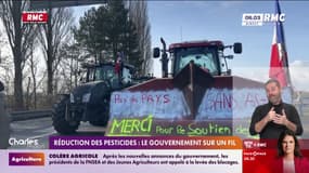 Réduction des pesticides : le gouvernement sur un fil