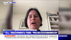 Suspension de la dissolution des "Soulèvements de la Terre": Sophie Bussière (porte-parole d'EELV) évoque "un soulagement"