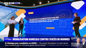 Il y en a tant de normes que ça pour les agriculteurs? Il n'y a pas eu d'amélioration depuis l'hiver dernier? BFMTV répond à vos questions 