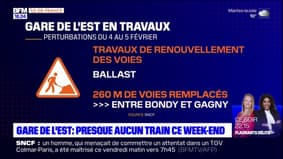 Gare de l'est: très peu de trains circuleront ce week-end