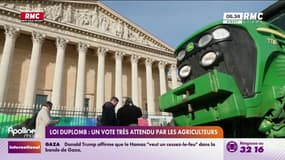 Loi Duplomb: un vote très attendu par les agriculteurs 