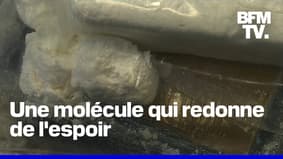     Cocaïne: un médicament pourrait bientôt aider à réduire la dépendance à ce médicament 