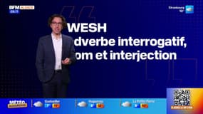 Wesh tout le monde - La météo de Colas du jeudi 11 décembre 2025
