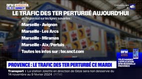 Provence: le trafic des TER perturbé ce mardi 