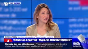 Menus uniques: pour Sandra Regol, "l'assiette des enfants de Lyon est prise en otage sur l'autel des enjeux politiques d'une partie de la majorité"