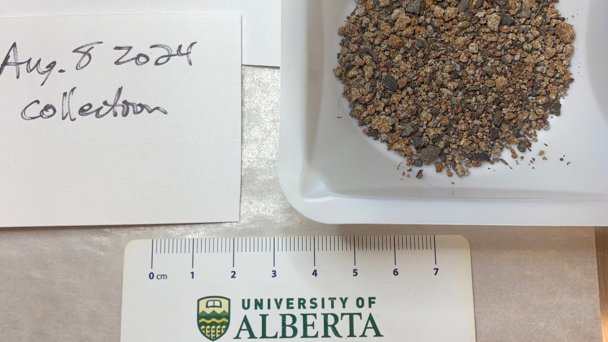 Des fragments de météorites collectés au sol le 8 août 2024 sur l'Île-du-Prince-Édouard au Canada. Des fragments de météorites collectés au sol le 8 août 2024 sur l'Île-du-Prince-Édouard au Canada.