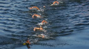 Les nageuses du 10km eau libre dans la Seine lors des JO de Paris 2024, le 8 août 2024