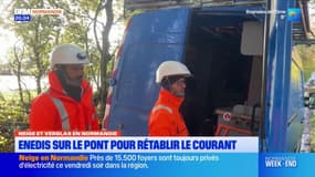 Intempéries en Normandie: Enedis sur le pont pour rétablir le courant