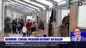 Avignon : Cheval Passion revient au galop