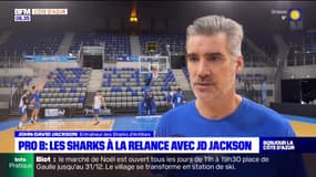 Pro B: le nouvel entraîneur des Sharks, JD Jackson, donne ses objectifs