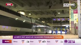 La grève SNCF agace les vacanciers possiblement touchés