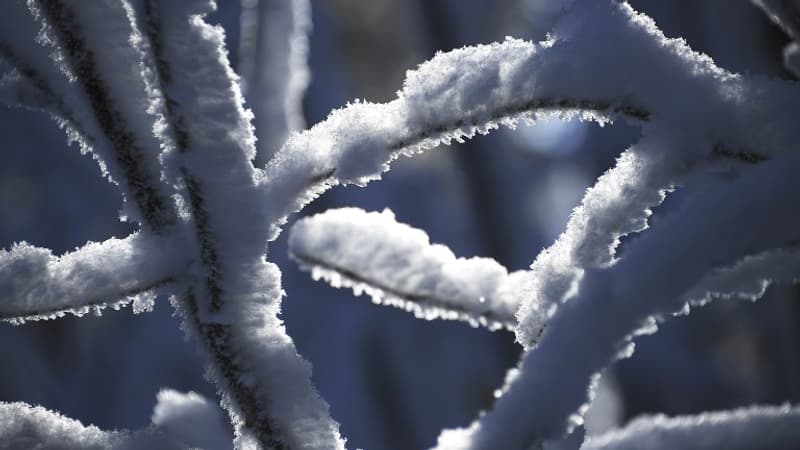 Vosges: la neige et le froid de retour en basse altitude la semaine prochaine