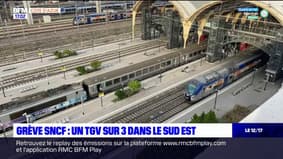 Grève SNCF: le trafic perturbé vendredi dans le Sud-Est