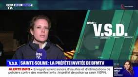 Sainte-Soline: "Des couteaux, boules de pétanque et explosifs" trouvés lors d'opérations de contrôle, selon la préfète