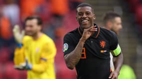 Georginio Wijnaldum (Pays-Bas)