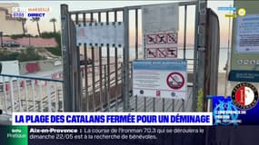 Marseille: la plage des Catalans fermée en raison d'une opération de déminage