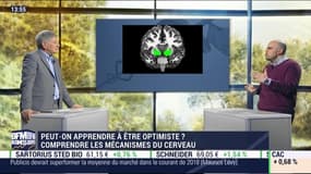 Mécanismes du cerveau: peut-on apprendre à être optimiste ? - 20/04