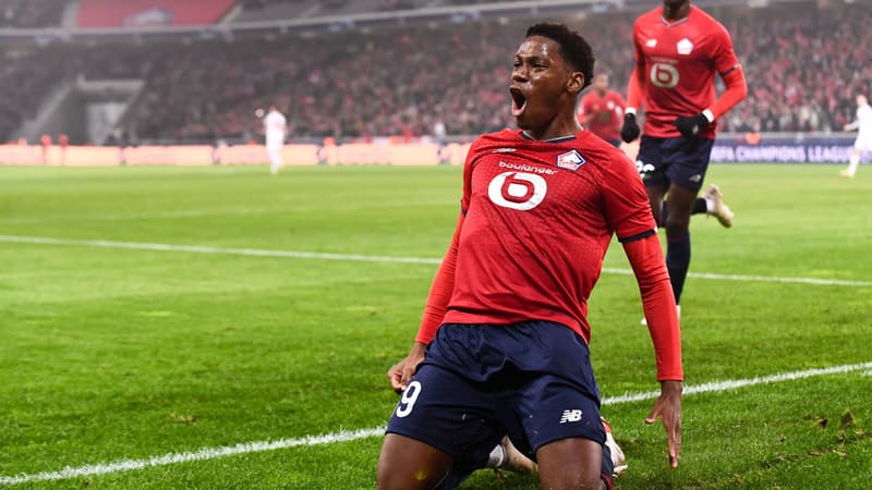 Jonathan David - Lille