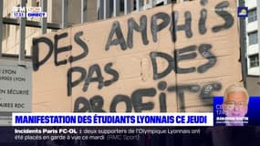 Lyon 3è : les enfants à la crèche avec des poules