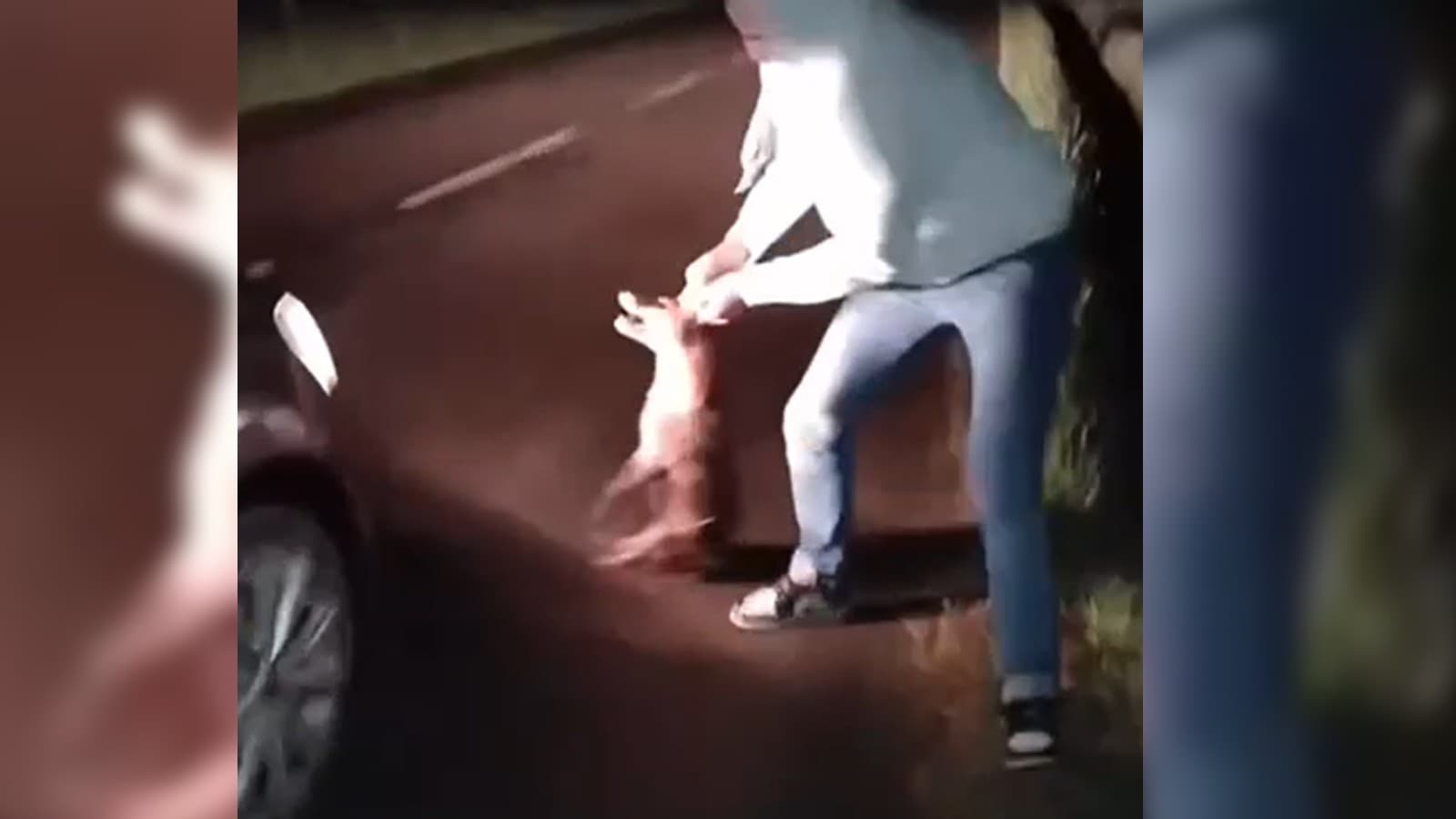 Des animaux victimes de violences dans l'Orne, une plainte déposée après la publication de vidéos sur internet, le 14 mai 2024.