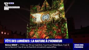 Fêtes des Lumières : la nature à l'honneur - 08/12