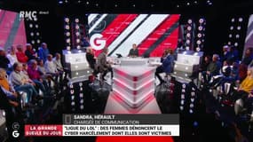 #ligueduLOL "Ce groupe là était très influent et très puissant. Si on voulait les attaquer, c'était compliqué !" Sandra, chargée de communication 