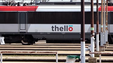 Ce service a pour principale ambition d'étoffer l'offre de transport international de Trenitalia.