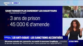 Projet de loi "anti-squat": "Au niveau du symbole, c'est une bonne chose", estime Christophe Demerson, président de l'UNPI