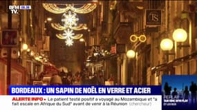 À  Bordeaux, pas "d'arbre mort" mais un sapin de Noël en verre et en acier de 11 mètres de haut