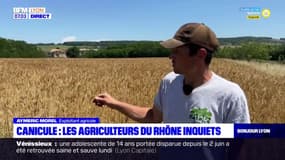 Rhône: les agriculteurs inquiets des fortes températures