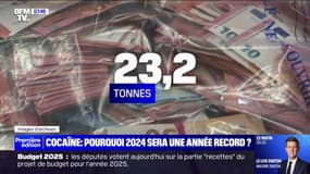Saisies de cocaïne: pourquoi 2024 se dirige vers une année record?