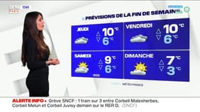 Météo Paris-Ile de France du 15 décembre: Ciel nuageux et températures douces