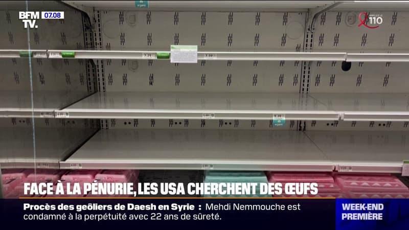 Confrontés à une pénurie d'oeufs, les États-Unis cherchent à se fournir à l'étranger