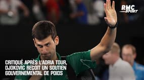 "C'est de notre faute" : la Première ministre serbe vole au secours de Djokovic 
