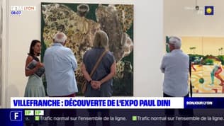 Villefranche-sur-Saône: une exposition pour comprendre l'art contemporain au musée Paul-Dini