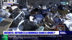 Déchets à Marseille: retour à la normale dans huit jours?