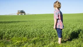 Les personnes qui ne sont pas exposées aux pesticides dans leur cadre professionnel pourraient, comme les agriculteurs, encourir un risque accru de maladie de Parkinson lorsque l'activité agricole est dense autour de leur lieu d'habitation.