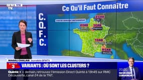 Covid-19 : où se trouvent les cas du variant britannique en France ?