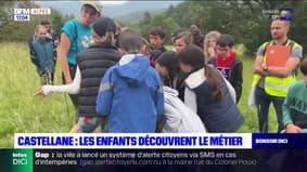 Alpes-de-Haute-Provence: des enfants à la rencontre d'éleveurs à Castellane