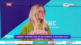 Animaux : "Les gens qui ont des animaux se font souvent gruger par les vétérinaires"