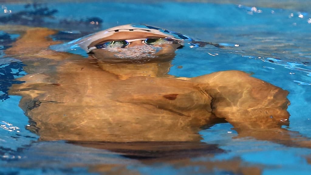 Florent Manaudou